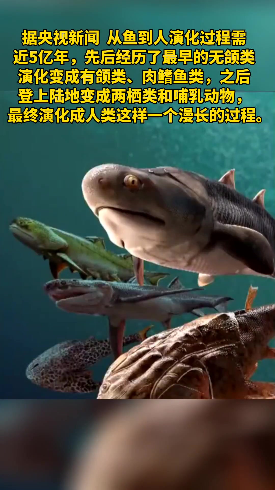 人类进化史是这样的!我国科学家证实人类是从鱼进化来的 人类 科学家 鱼 进化 南都视野