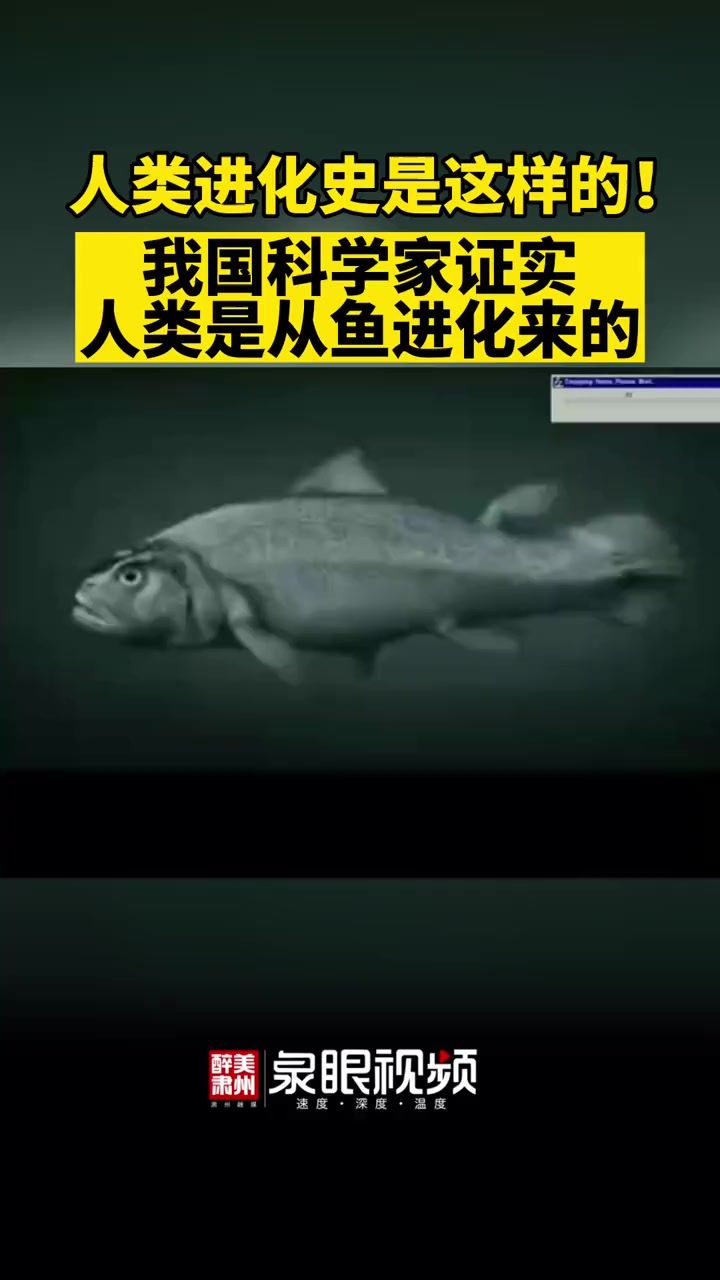 人类进化史原来是这样的,科学家证实人类是从鱼进化来的 从鱼到人演化需要5亿年 不可思议 令