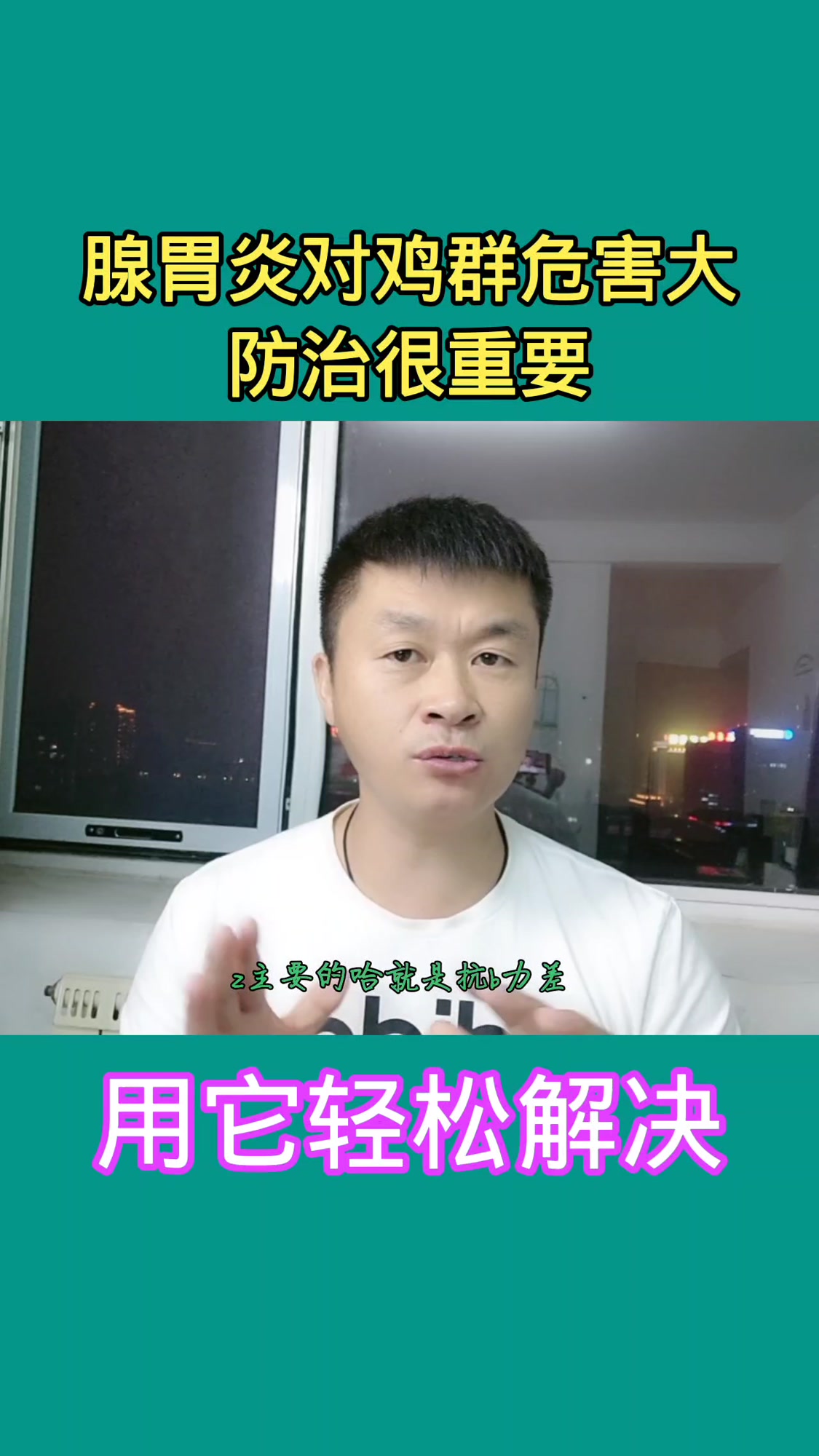 腺胃炎对鸡群造成重大危害,防治很重要,用它轻松解决!