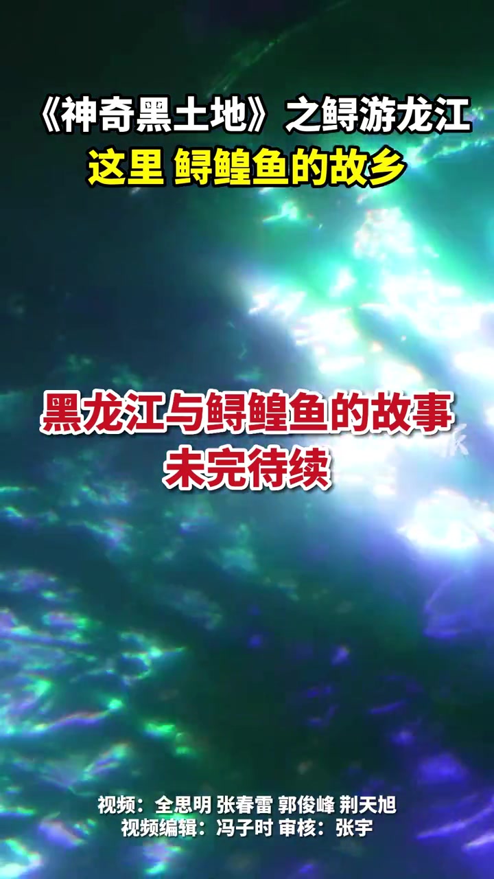 《神奇黑土地》之鲟游龙江|这里 鲟鳇鱼的故乡 神奇黑土地