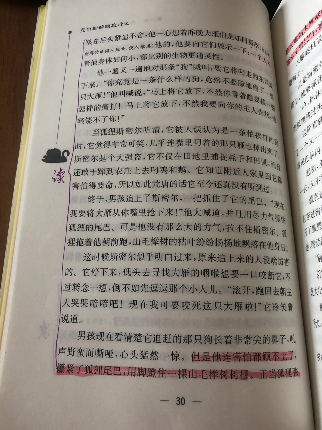 共读《尼尔斯骑鹅旅行记》第二章