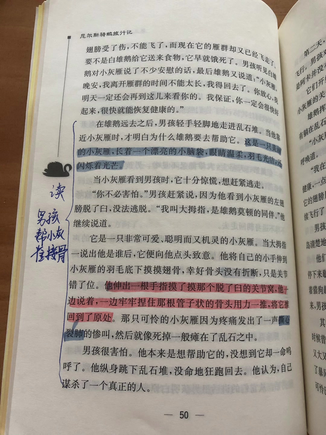 共读《尼尔斯骑鹅旅行记》第三章