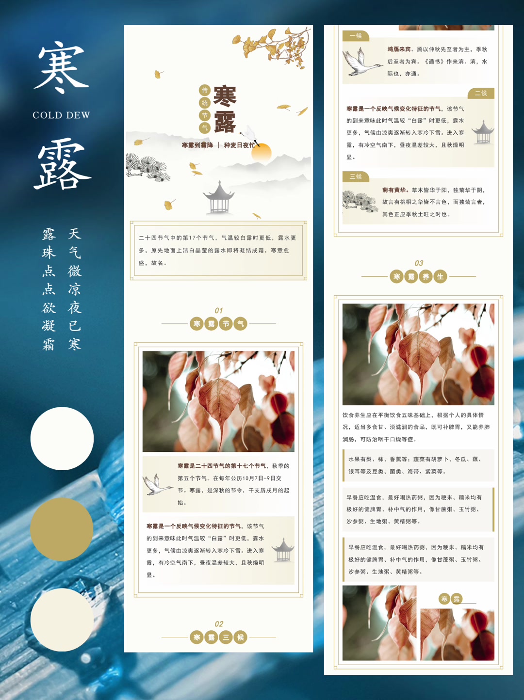 寒露海报模板分享
