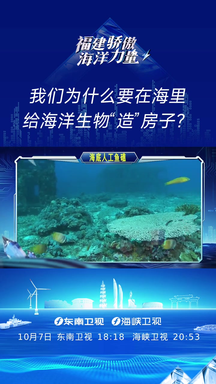 第47集|我们为什么要在海里,给海洋生物“造”房子?人工鱼礁是什么?为什么我们要锲而不舍地