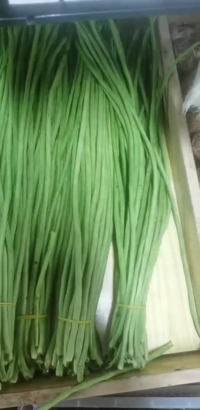 各种各样的蔬菜……