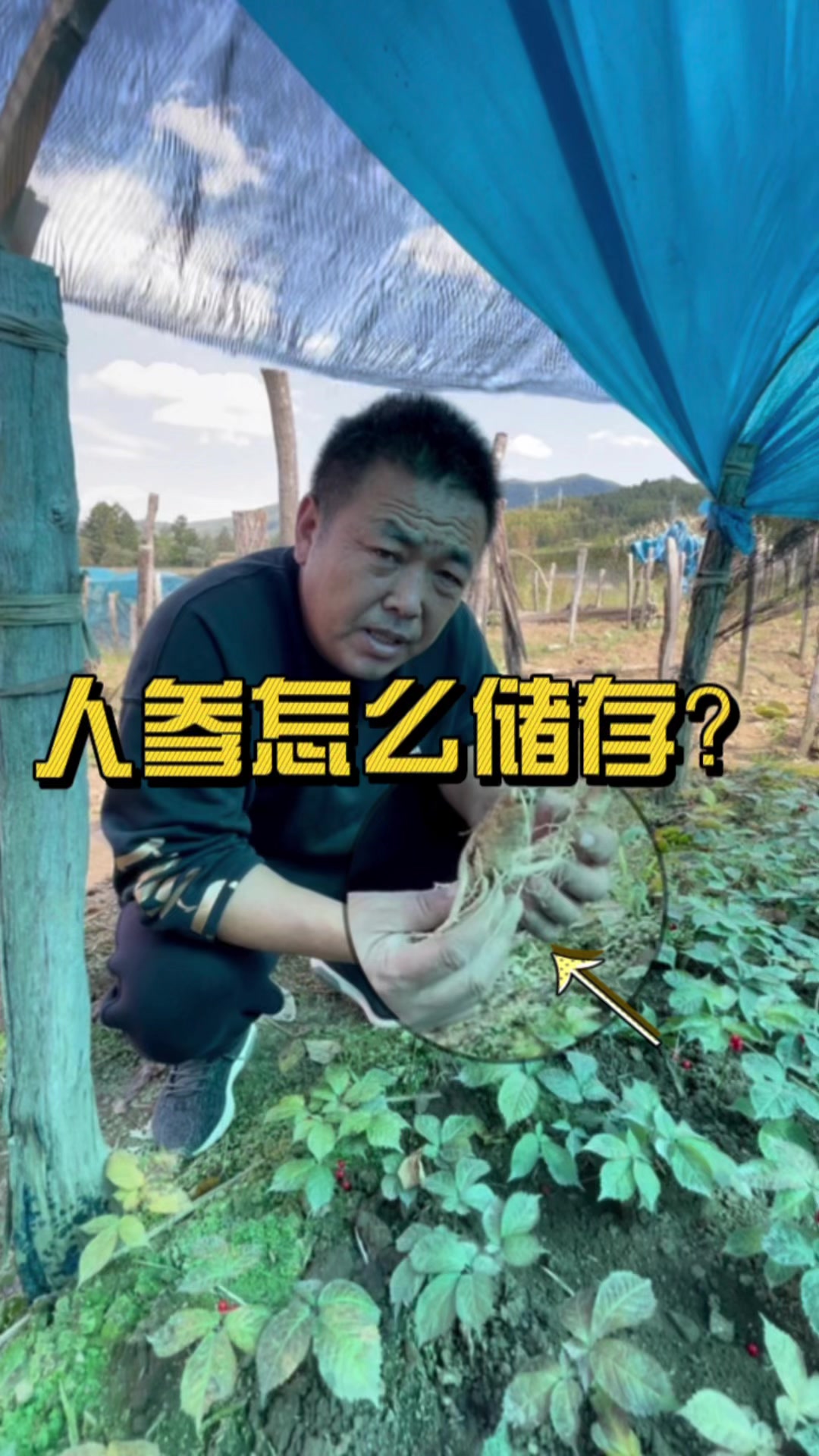 三叔教你怎样保存鲜人参