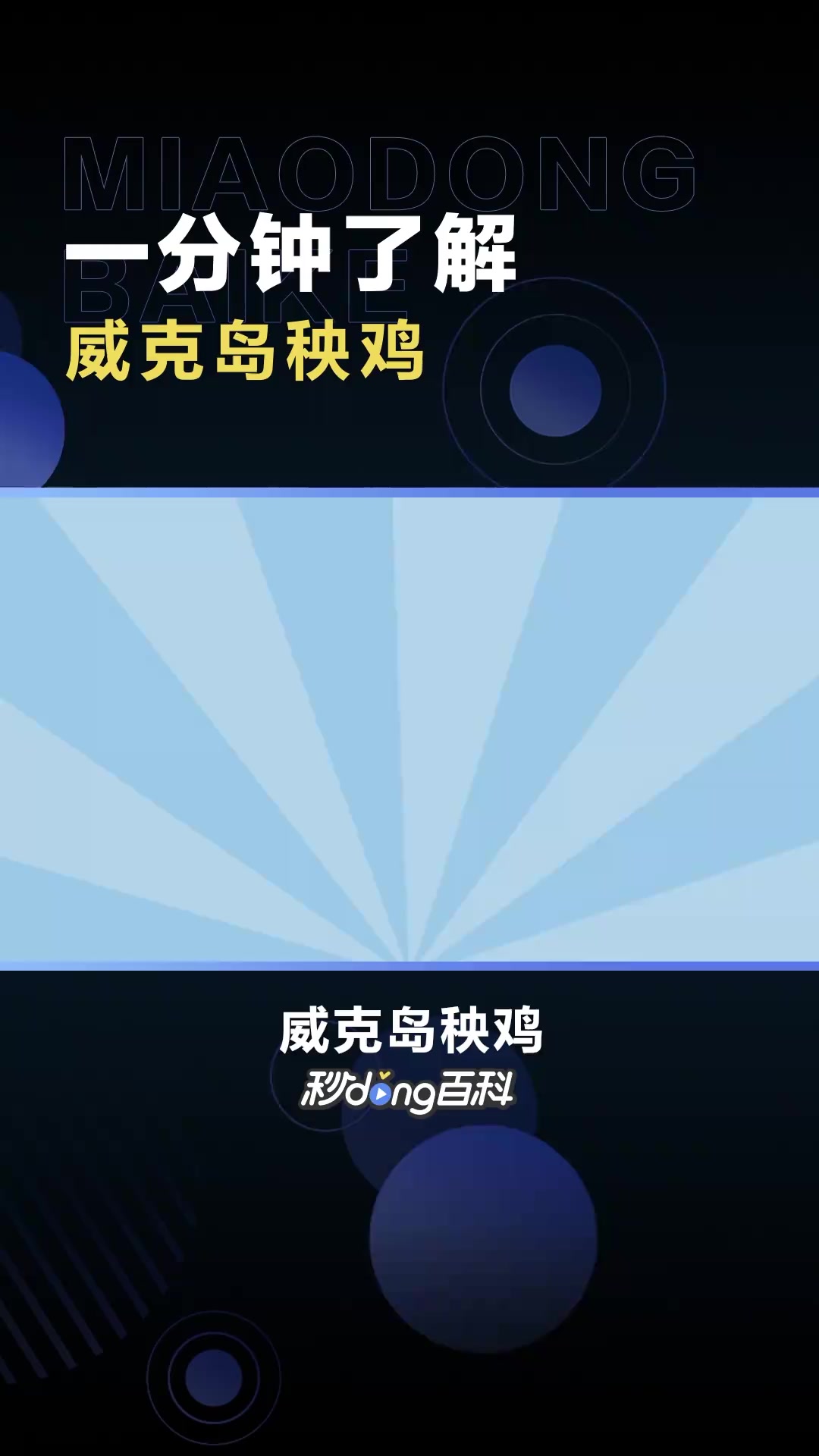 威克岛秧鸡:秧鸡科纹秧鸡属动物
