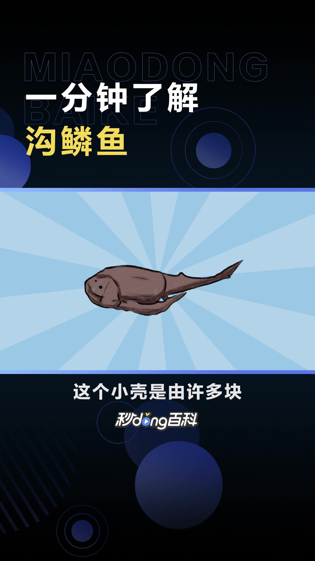 沟鳞鱼:胴甲鱼目沟鳞鱼科动物