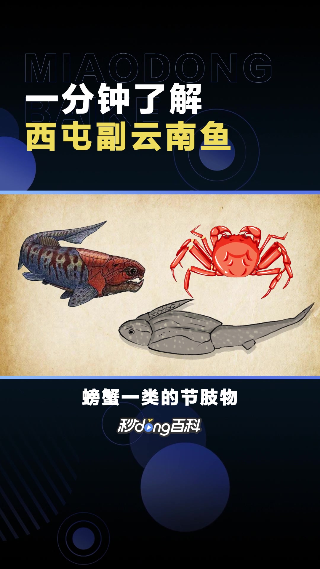 西屯副云南鱼:古生物鱼类