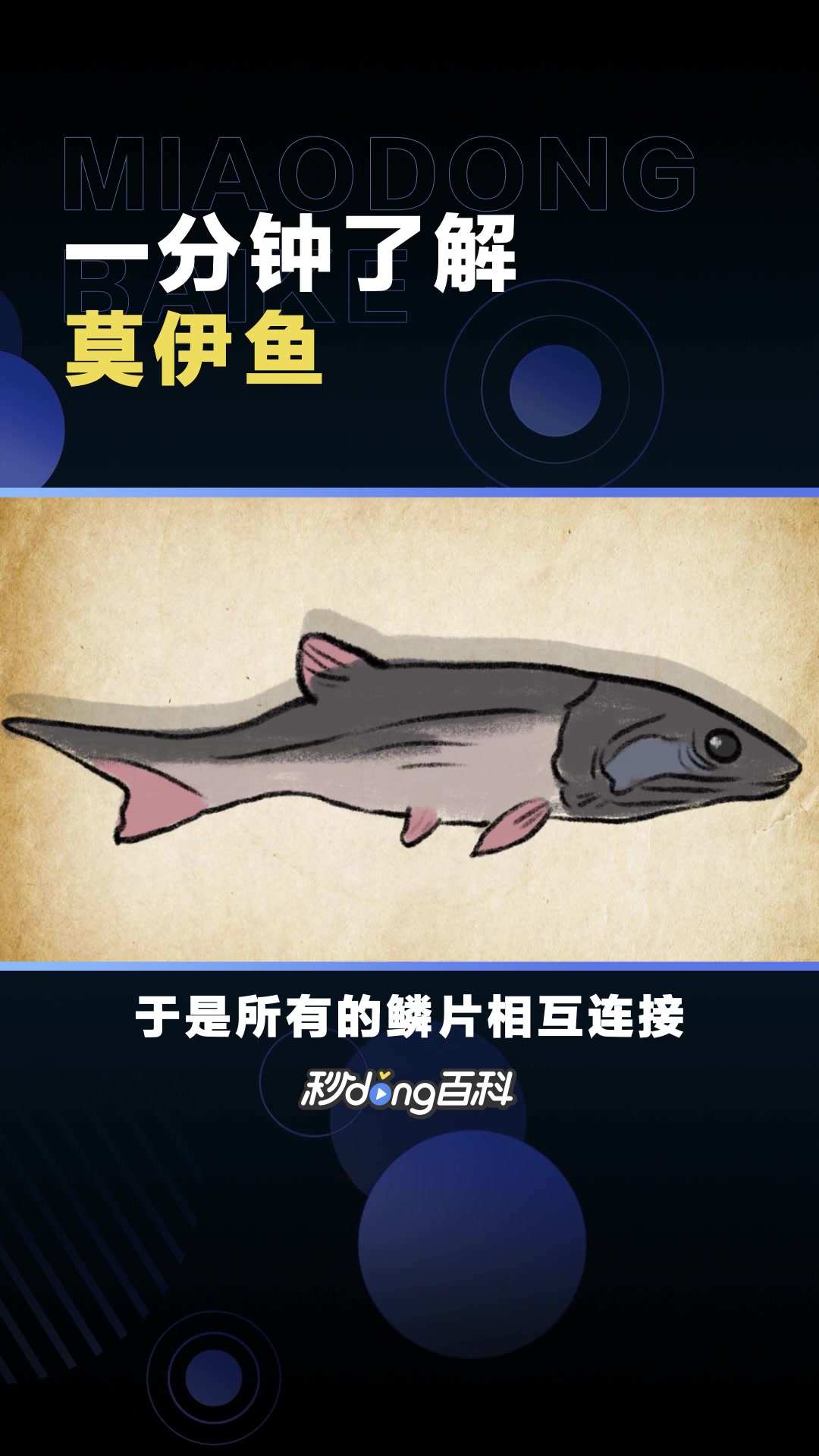 莫伊鱼:原始辐鳍鱼类