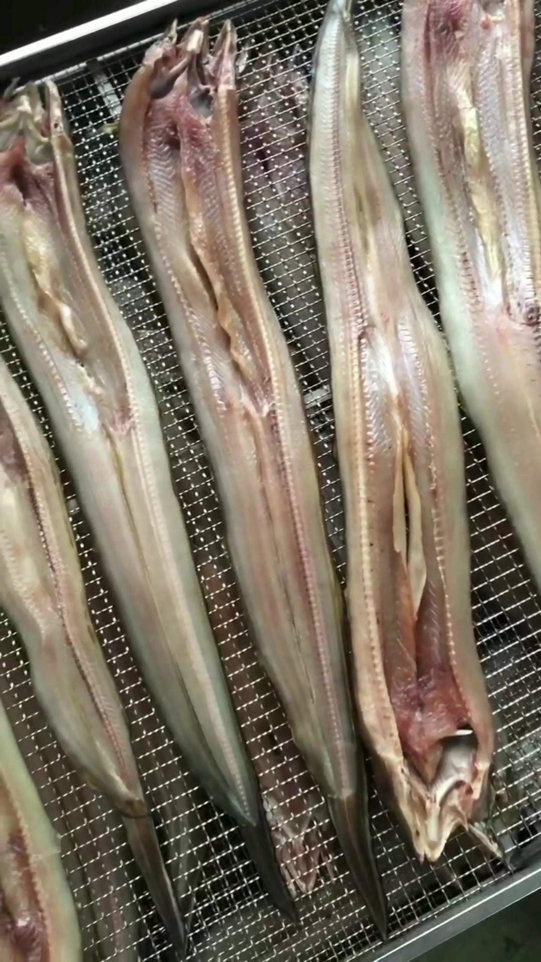 鱼干低温烘干机应该怎么选?