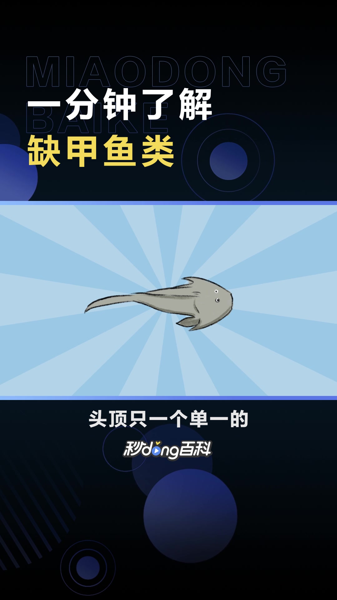 缺甲鱼类:标本保存差的缺甲鱼类化石