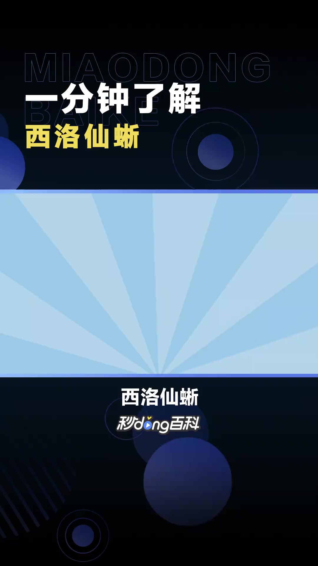 西洛仙蜥:活在石炭纪早期的古动物