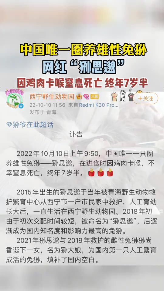 网红“狲思邈”,死于“卡脖子”,纵有妙手难回春!