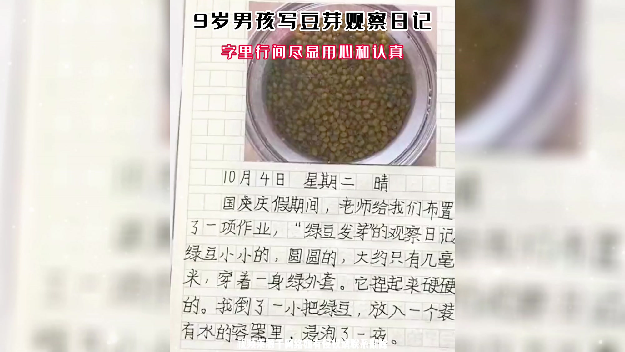 9岁男孩写豆芽观察日记,字里行间尽显用心和认真!