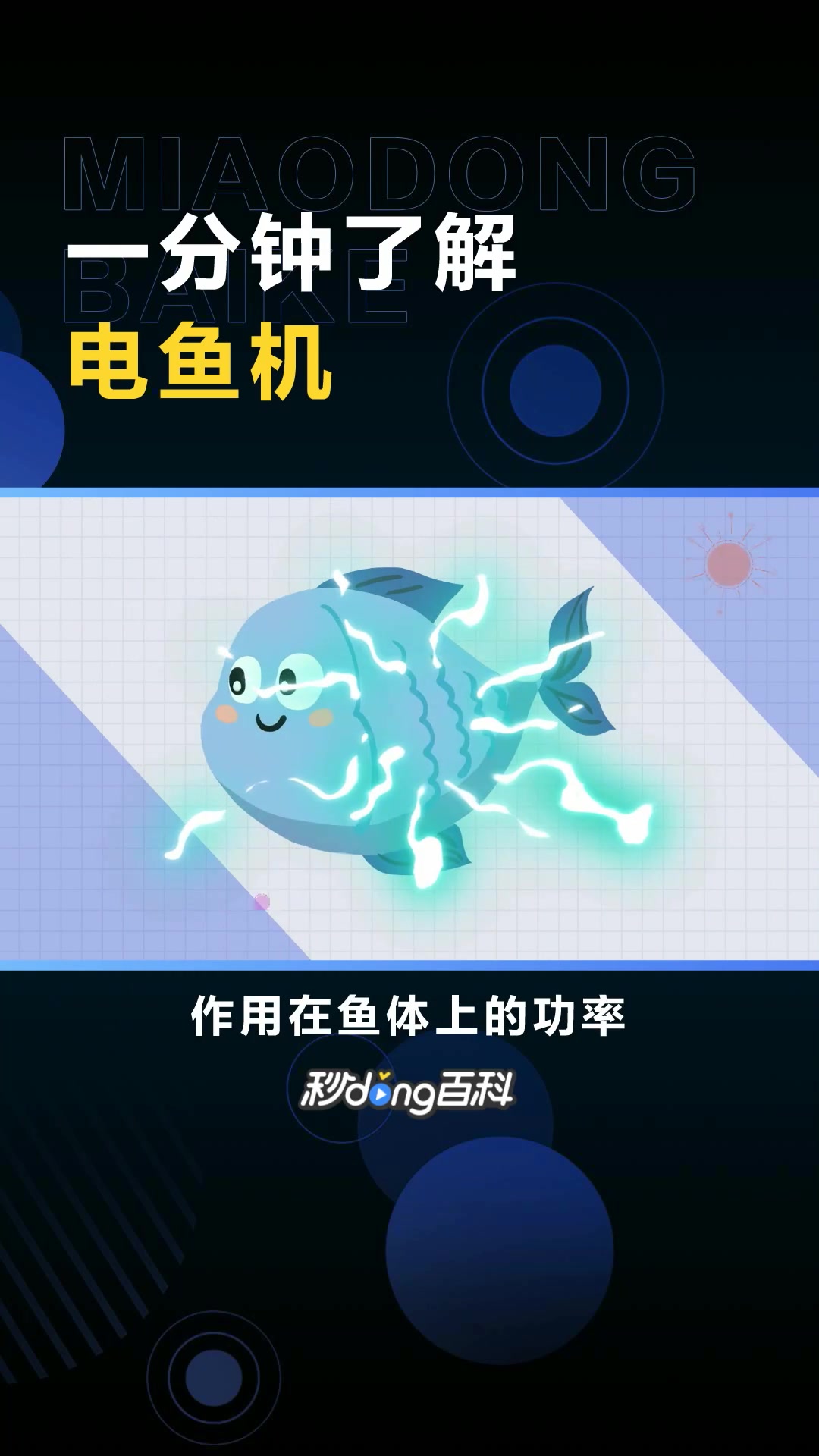 电鱼机:脉冲直流变换器为主要原理的捕鱼机