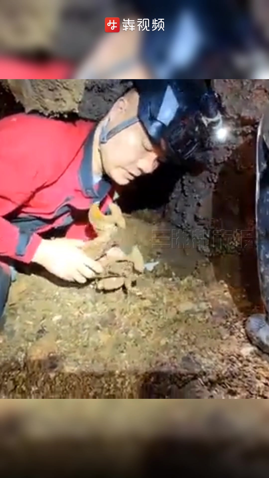 湖南也有大熊猫?湘西百米洞穴内发现大熊猫化石