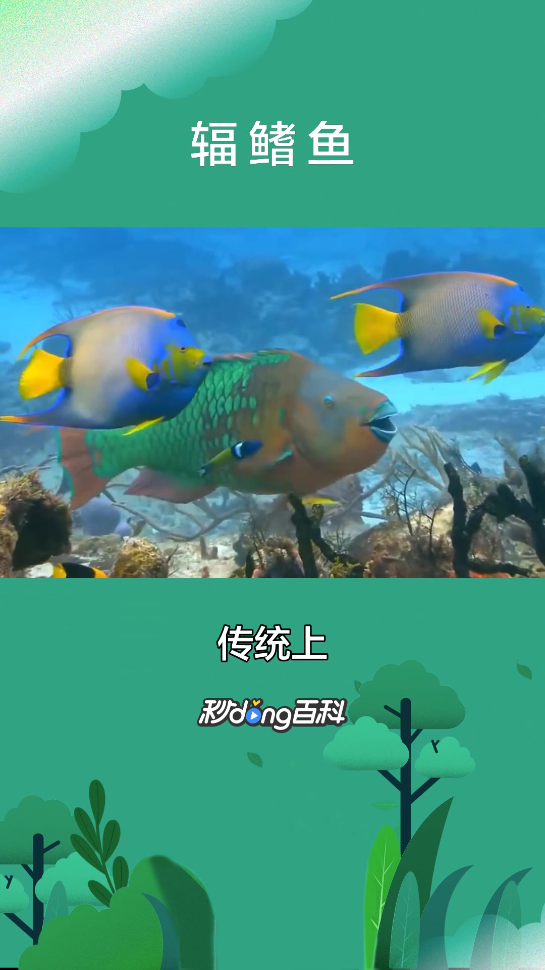 一分钟了解古动物辐鳍鱼