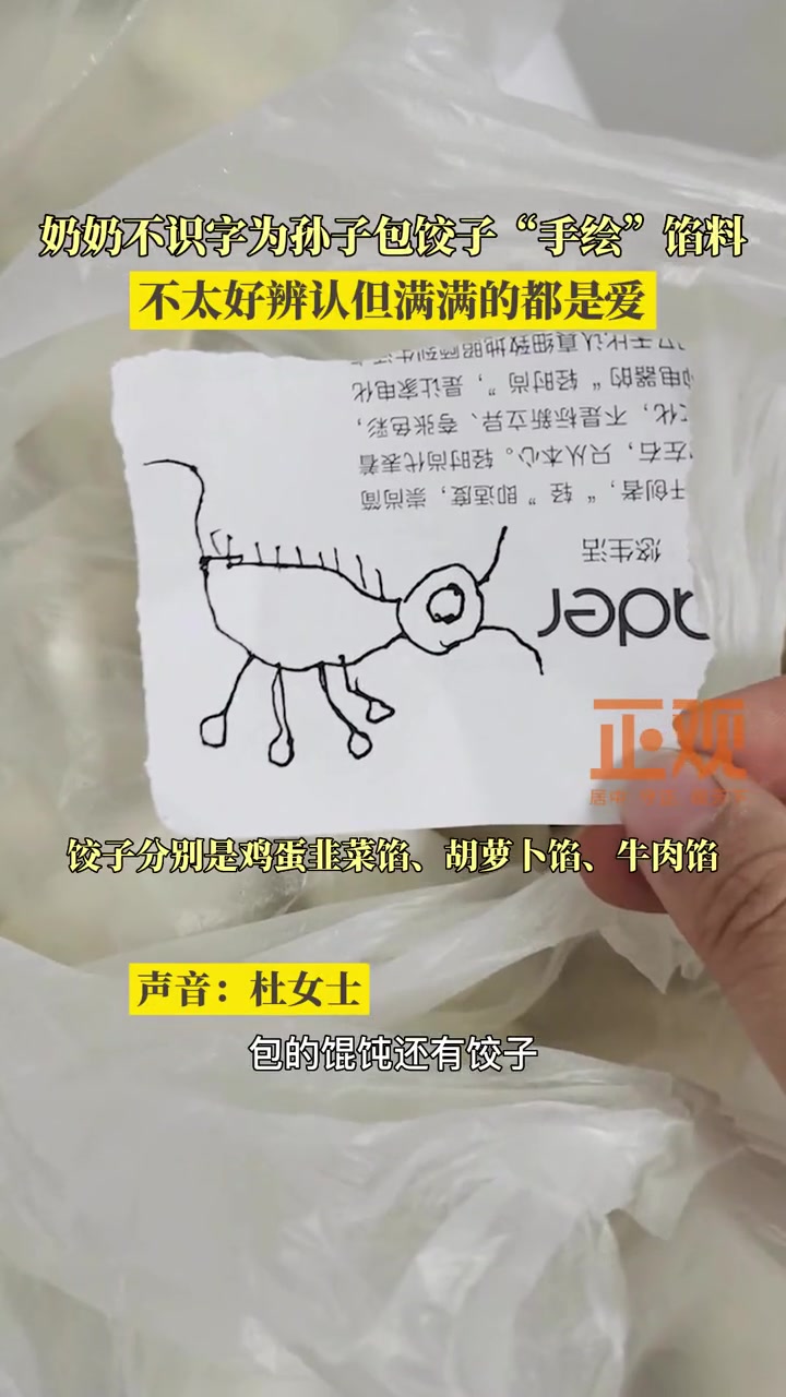 10日 辽宁沈阳 奶奶不识字为孙子包饺子手绘馅料 不太好辨认但满满的都是爱