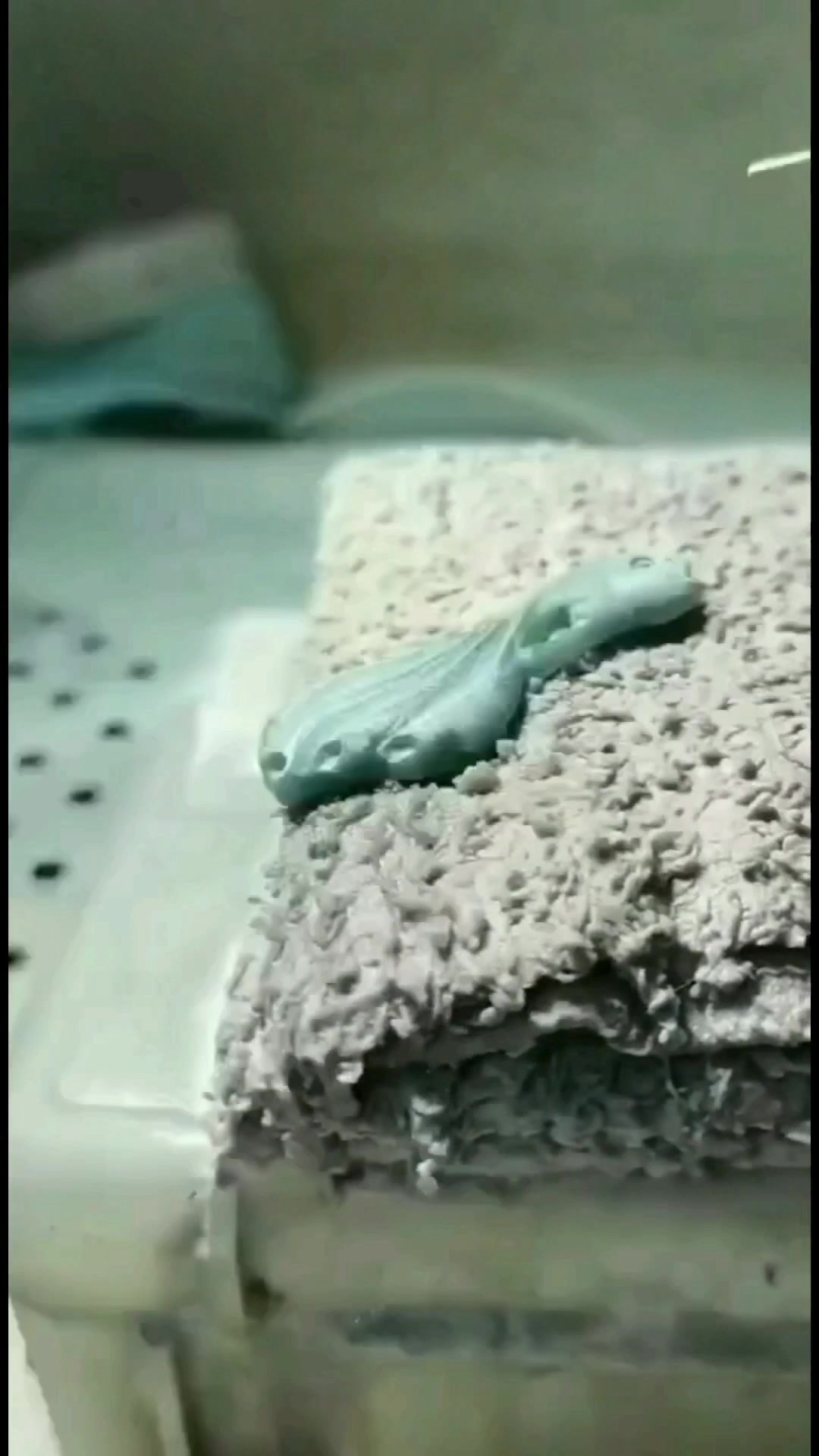 天然A货翡翠纯手工切割打磨雕刻编绳保真翡翠凤凰鱼吊坠手牌套件