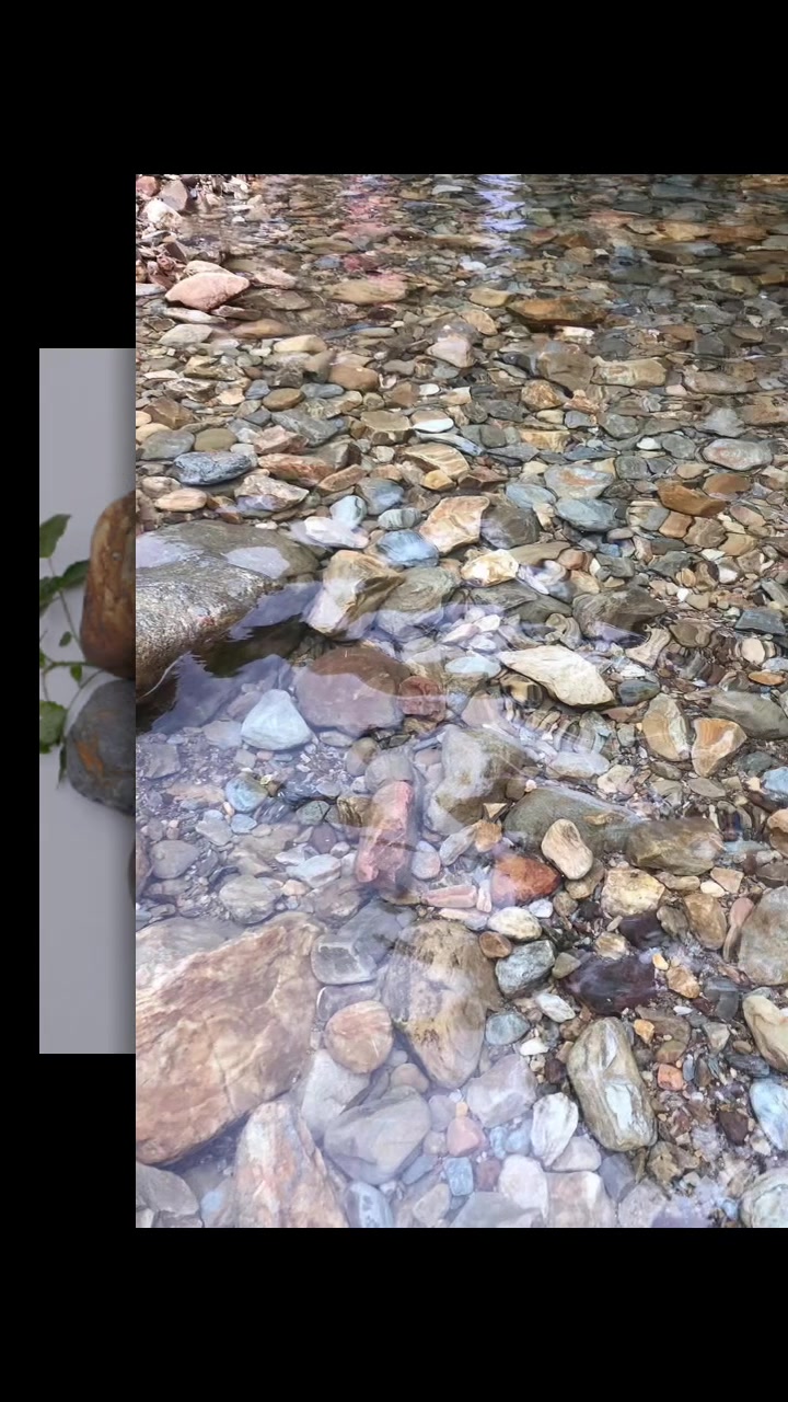 鹅卵石,黄蜡石,刻字石,砾石,泰山雪浪石都长什么样?