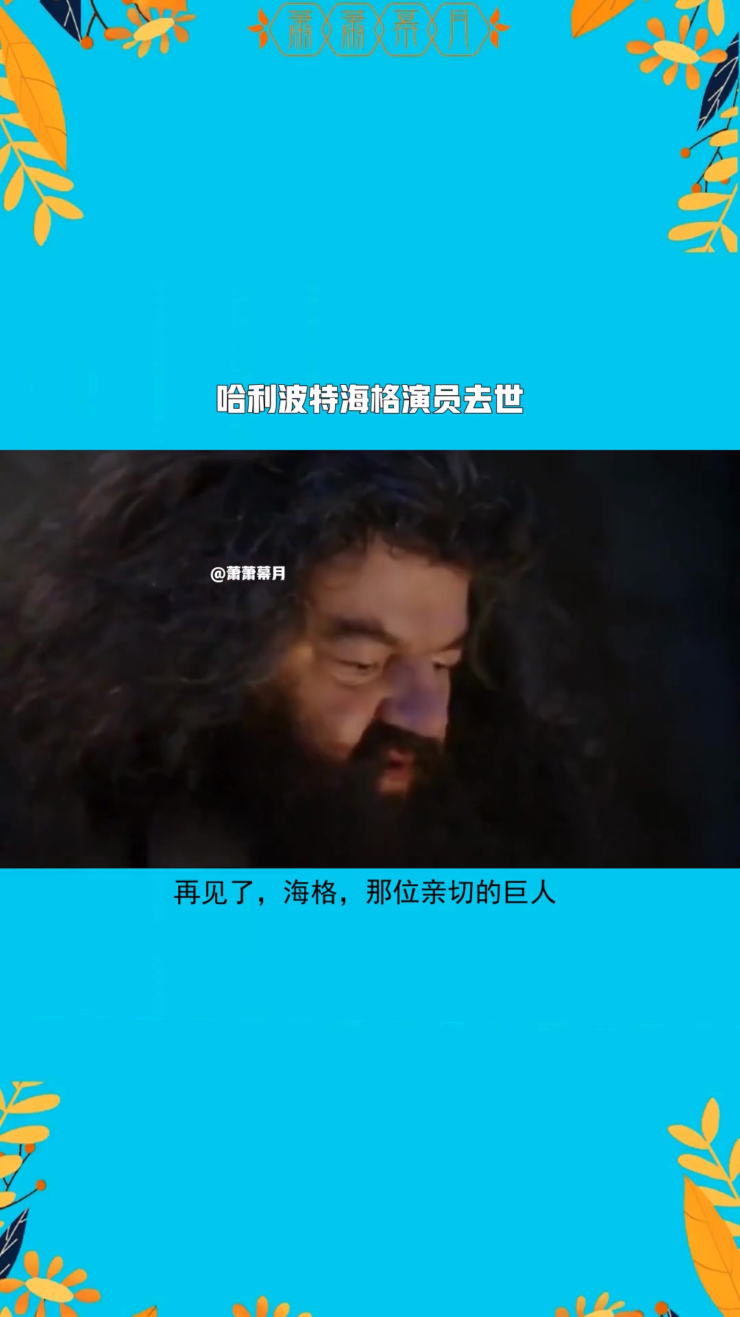 哈利波特演员海格去世