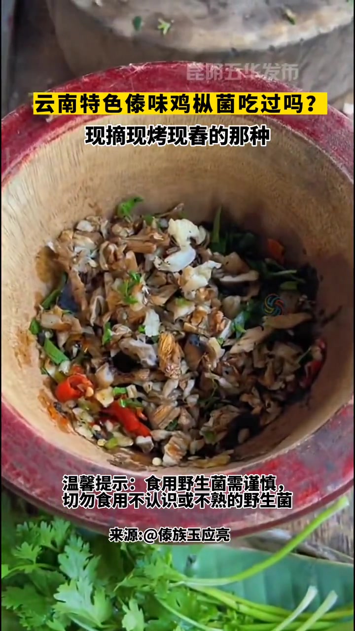 云南特色傣味鸡枞菌吃过吗?视频来源:云南特色 傣味 家乡的味道