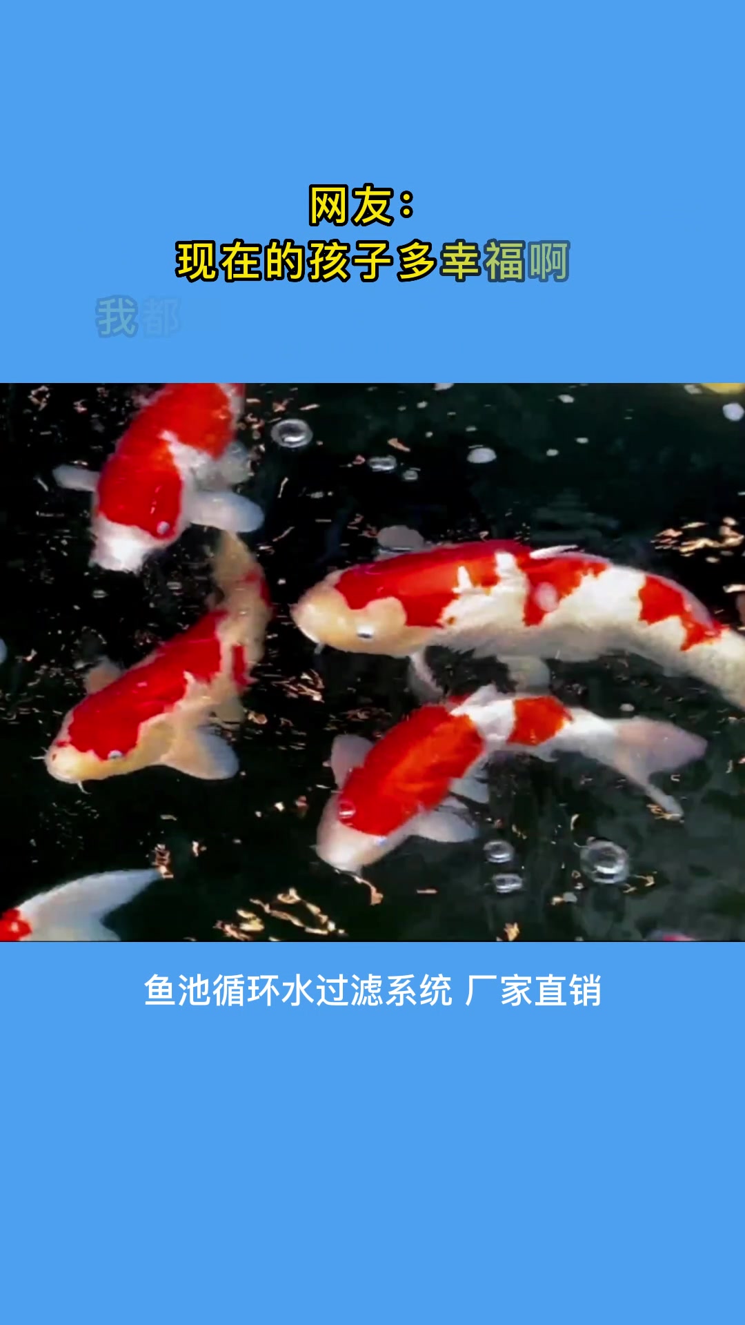 为什么80%的鱼友都会选择这款智能鱼池过滤器?