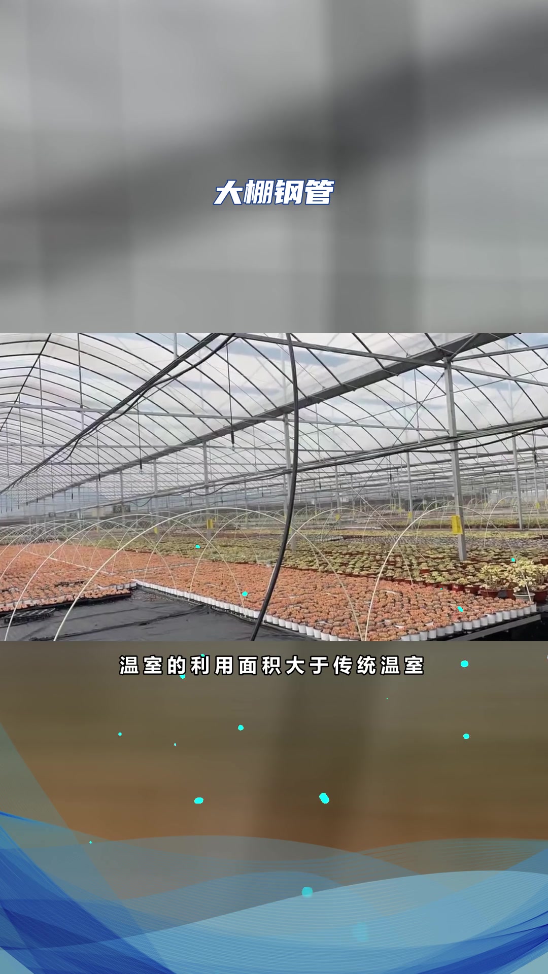 澄迈县肉鸡养殖大棚