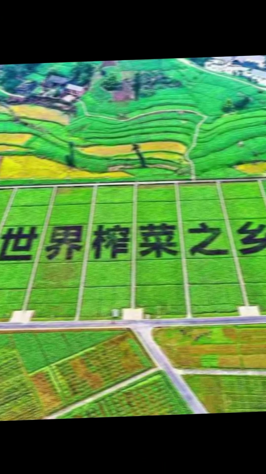铜铁桥涪陵榨菜明星代言吃过都说好,好口碑。