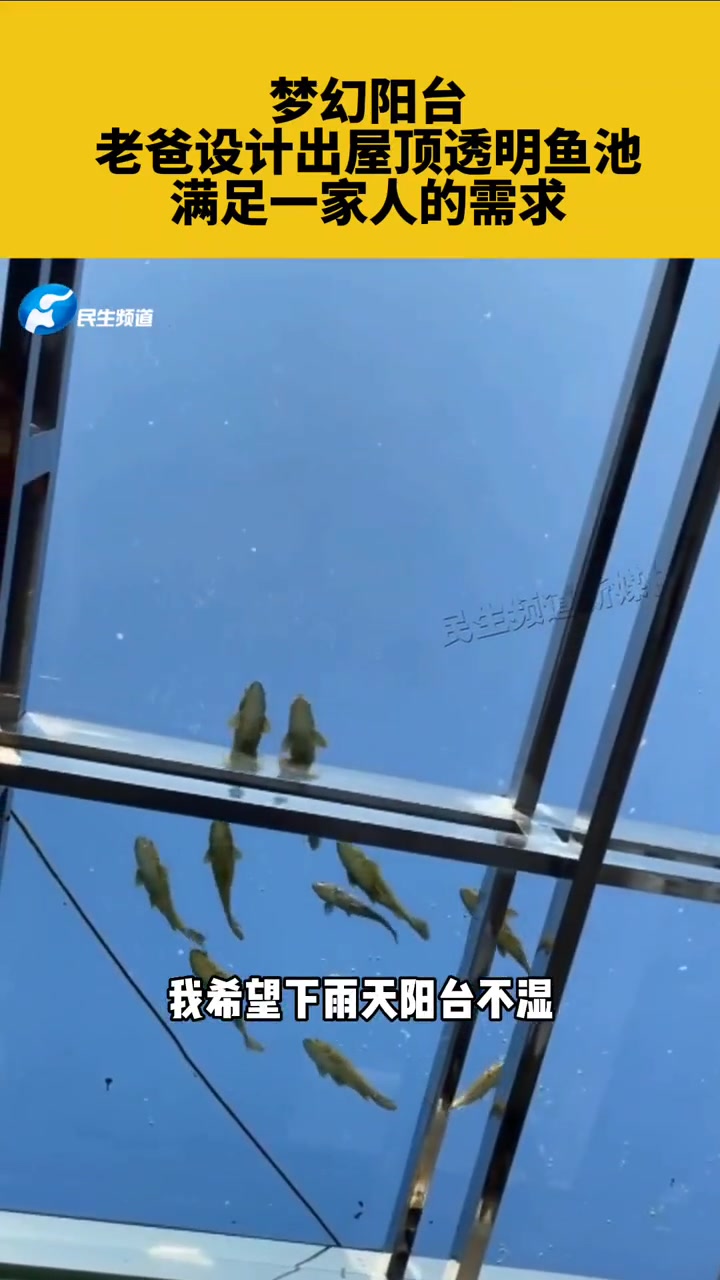 梦幻阳台,老爸设计出屋顶透明鱼池,满足一家人的需求