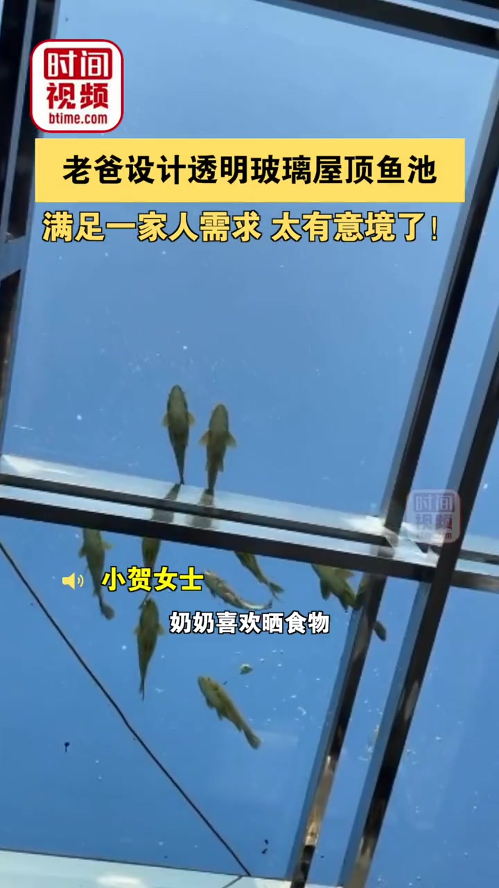 10月13日,贵州黔西南,老爸设计透明玻璃屋顶鱼池,满足一家人需求 太有意境了!