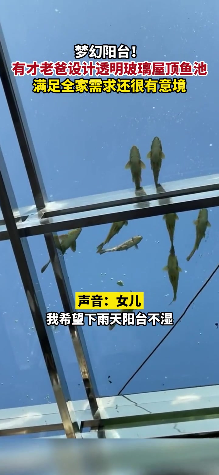 10月13日,贵州黔西南,有才老爸设计透明玻璃屋顶鱼池满足一家人需求,太有意境了!视频来源