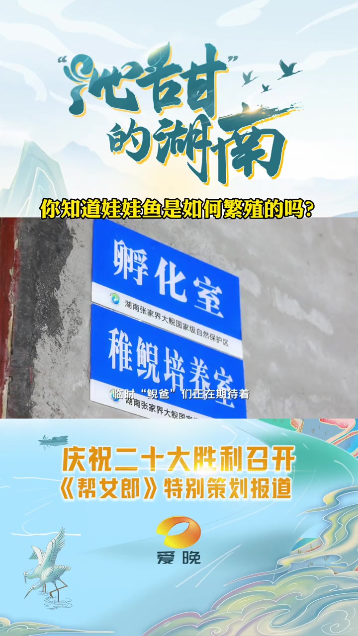 你知道娃娃鱼是如何繁殖的吗 每一个“鲵宝宝”降生的背后,都蕴含着45天的等待与努力。大自然