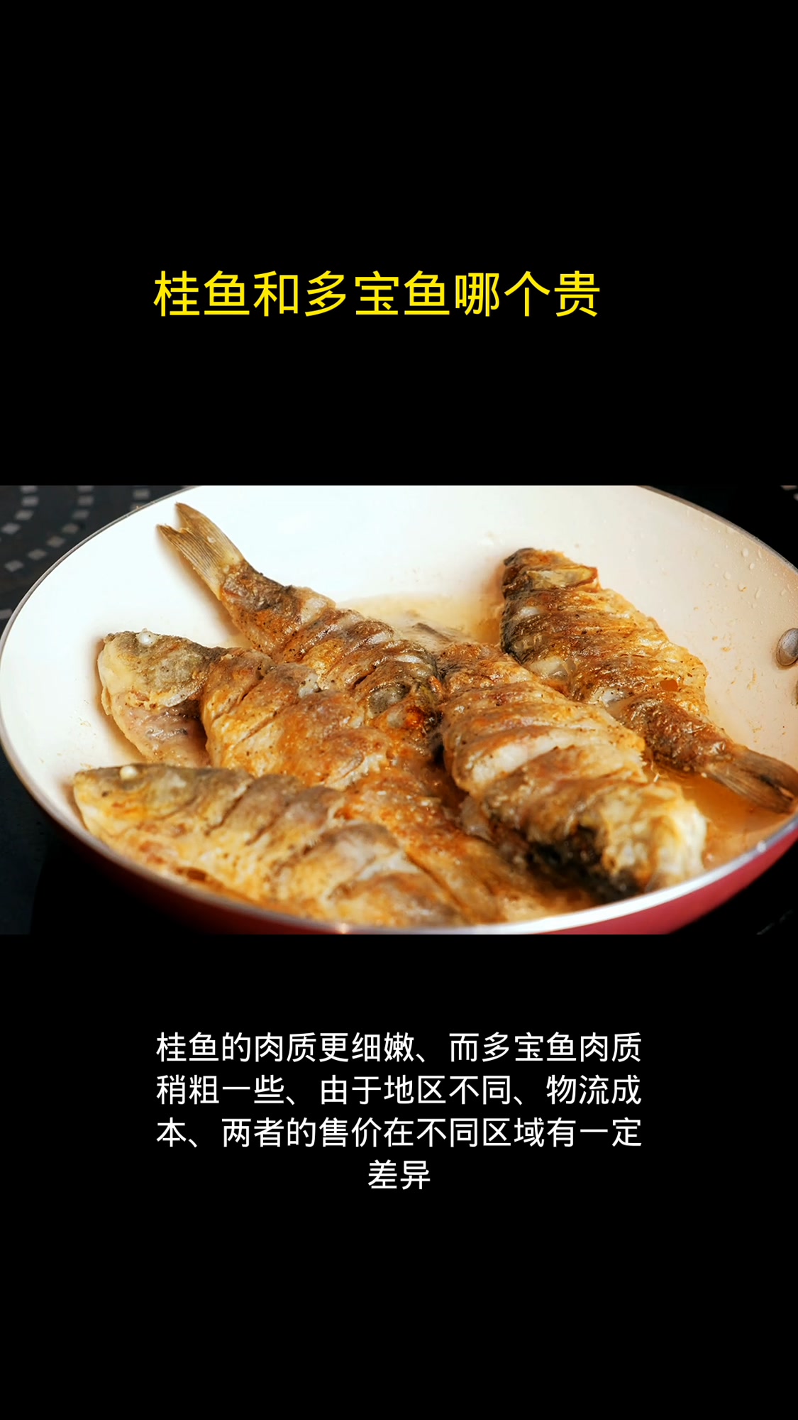 桂鱼和多宝鱼哪个贵