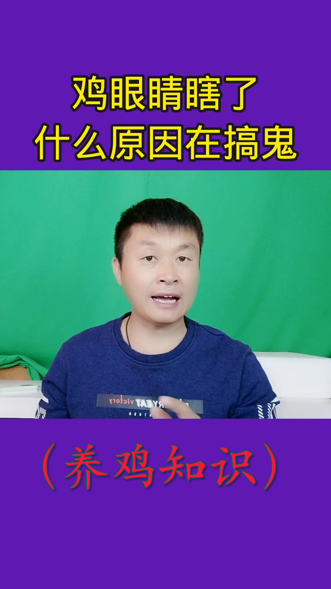 鸡眼睛瞎了,是什么原因在搞鬼?