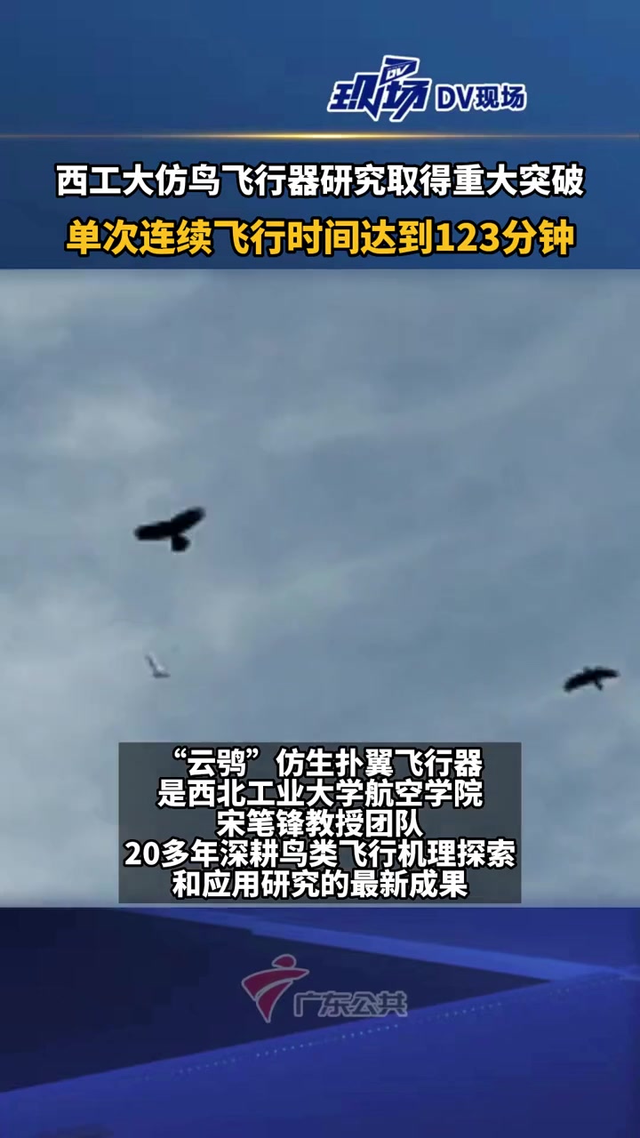 西工大仿鸟飞行器研究取得重大突破,单次连续飞行时间达到123分钟