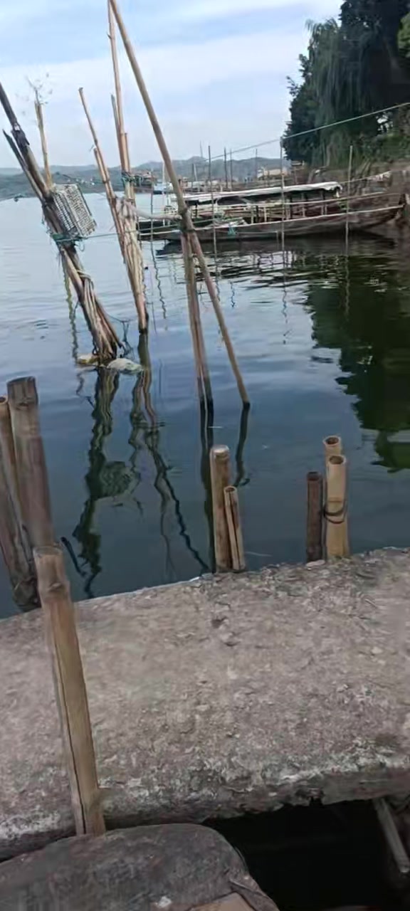 北江河虾河鱼仔,山坑鱼