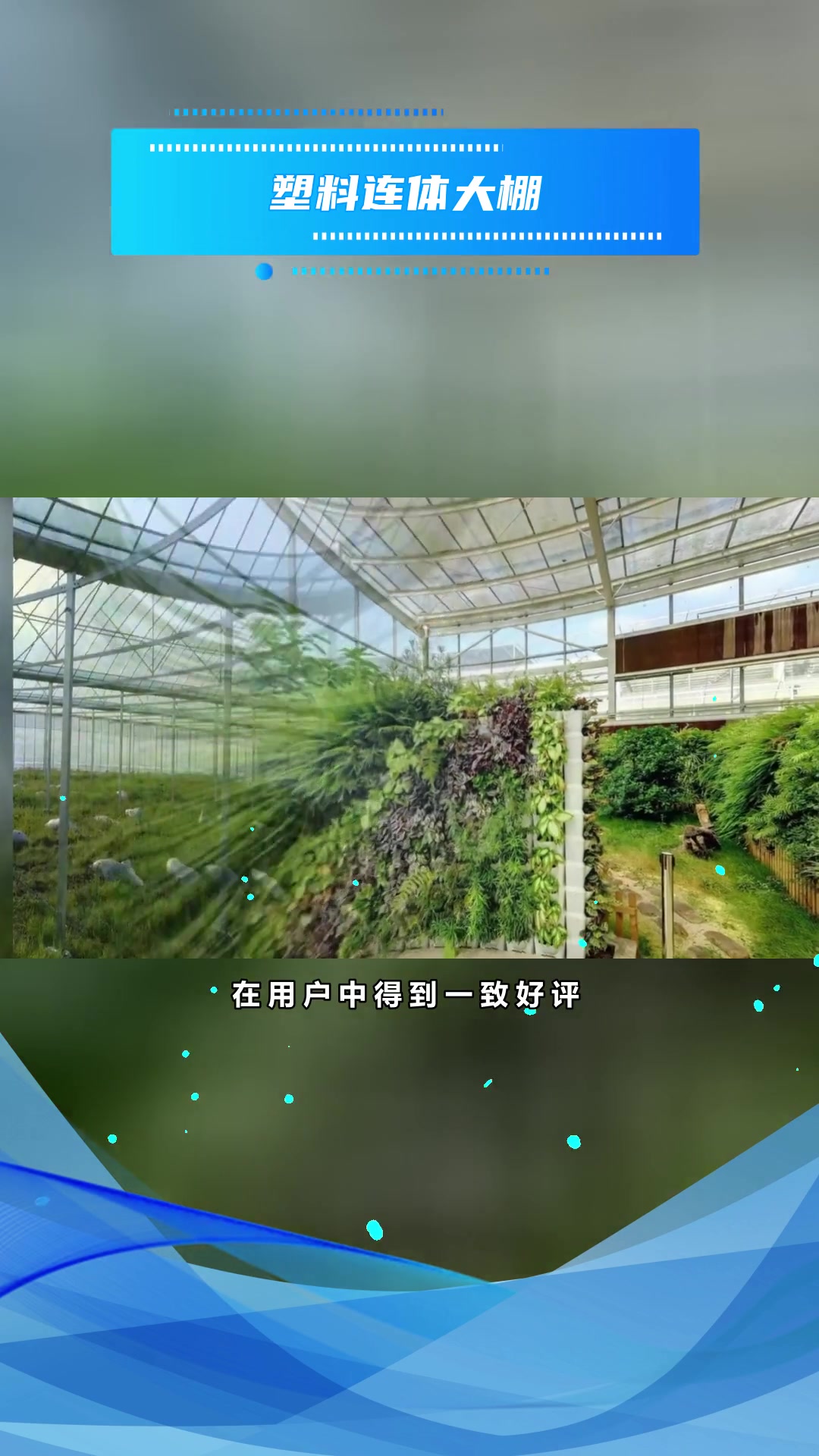 哈尔滨蔬菜大棚基地