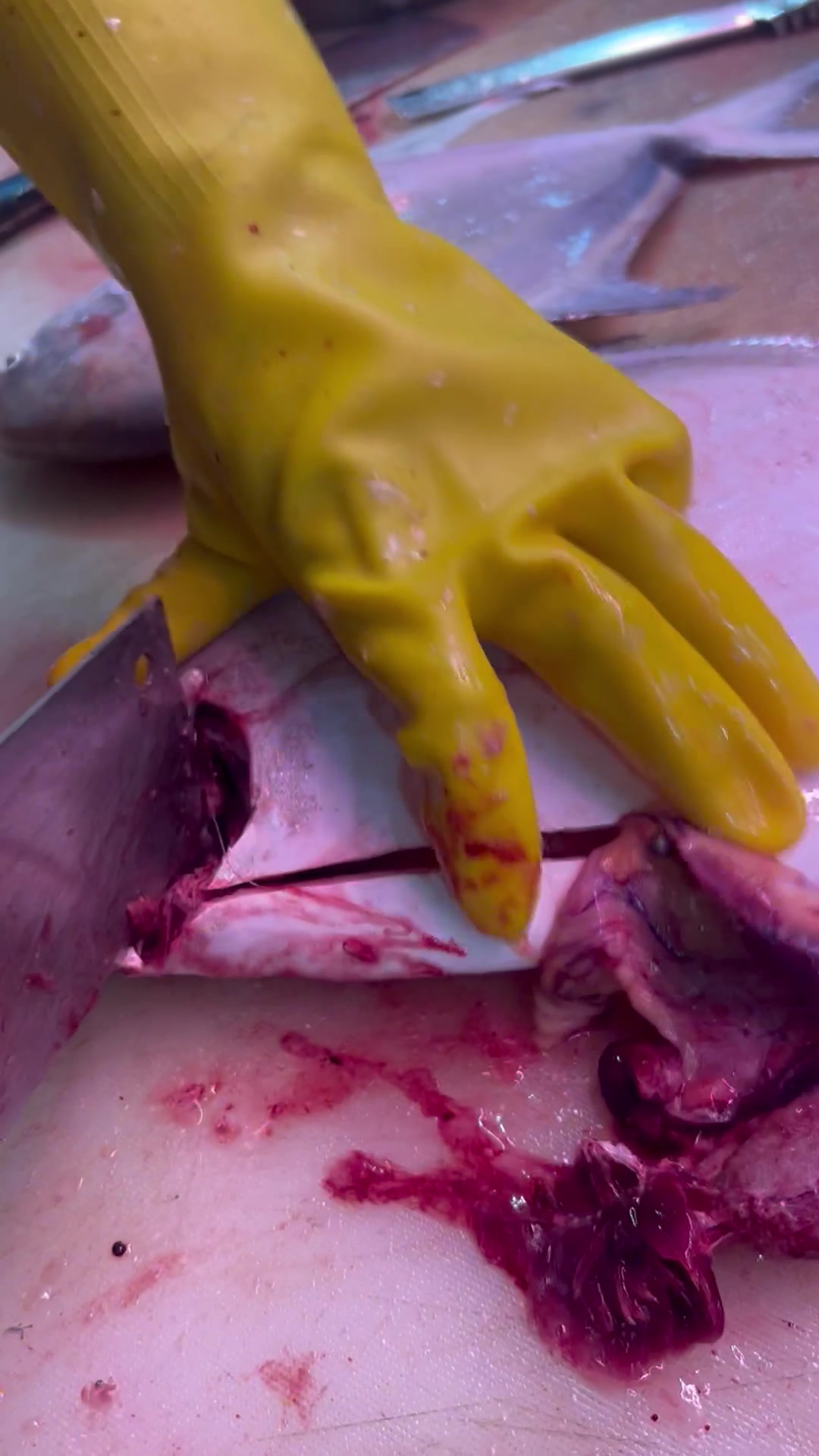 新鲜的斗鲳鱼,清蒸还是红烧,干煎也好吃