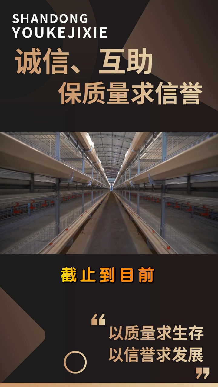 优科机械 自动化鸡笼 陕西自动化鸡笼 陕西自动化鸡笼批发