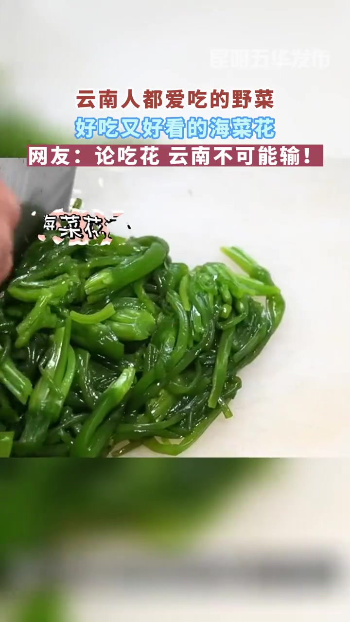 可以吃的水中花你见过吗?海菜花 生态环境 地方特色美食