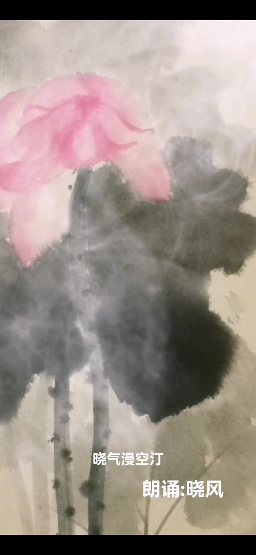 出污泥而不染,佛家,圣花,名家画荷,荷花的画法,出水芙蓉