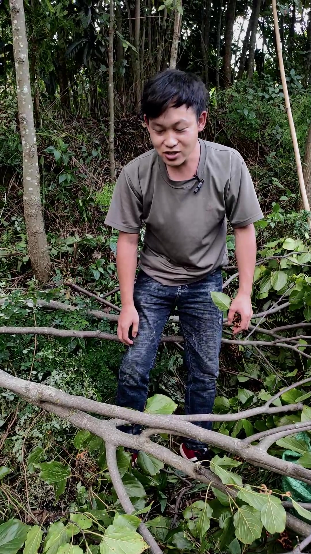 丑水果高营养,这就是我们小时候的水果-拐枣