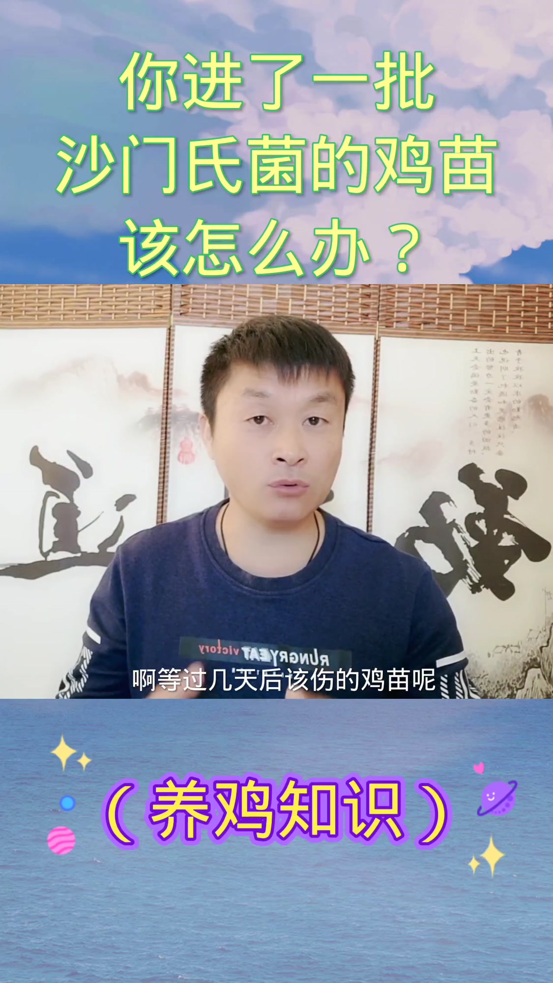 你进了一批沙门氏菌的鸡苗,该怎么办?