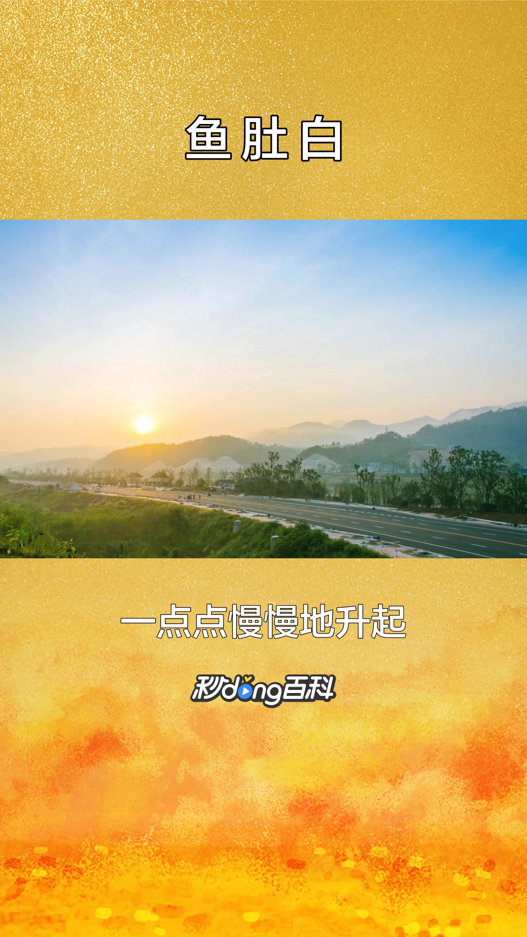 一分钟了解颜色鱼肚白