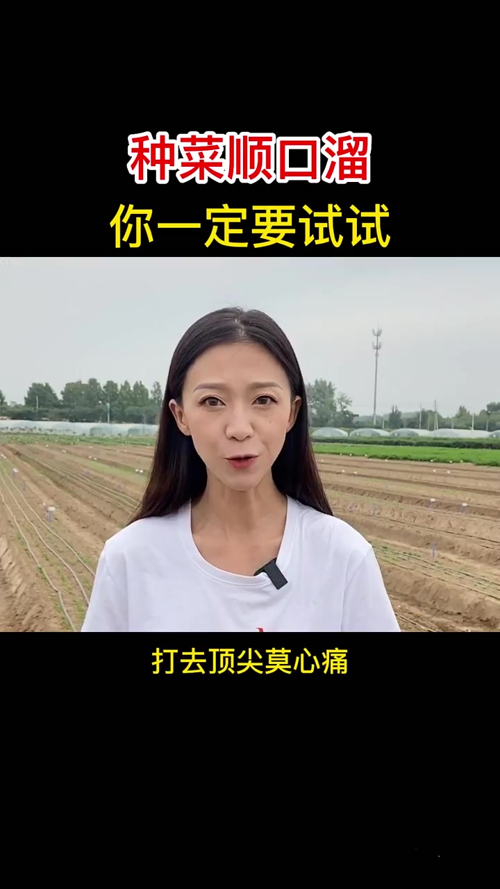老祖宗留下来的种菜顺口溜,一定要收藏好了哈,农业种植技术