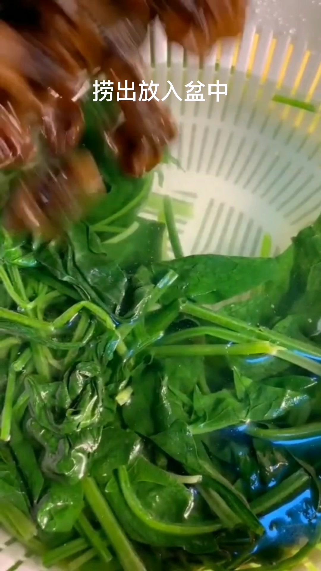木耳拌菠菜这样做更好吃!