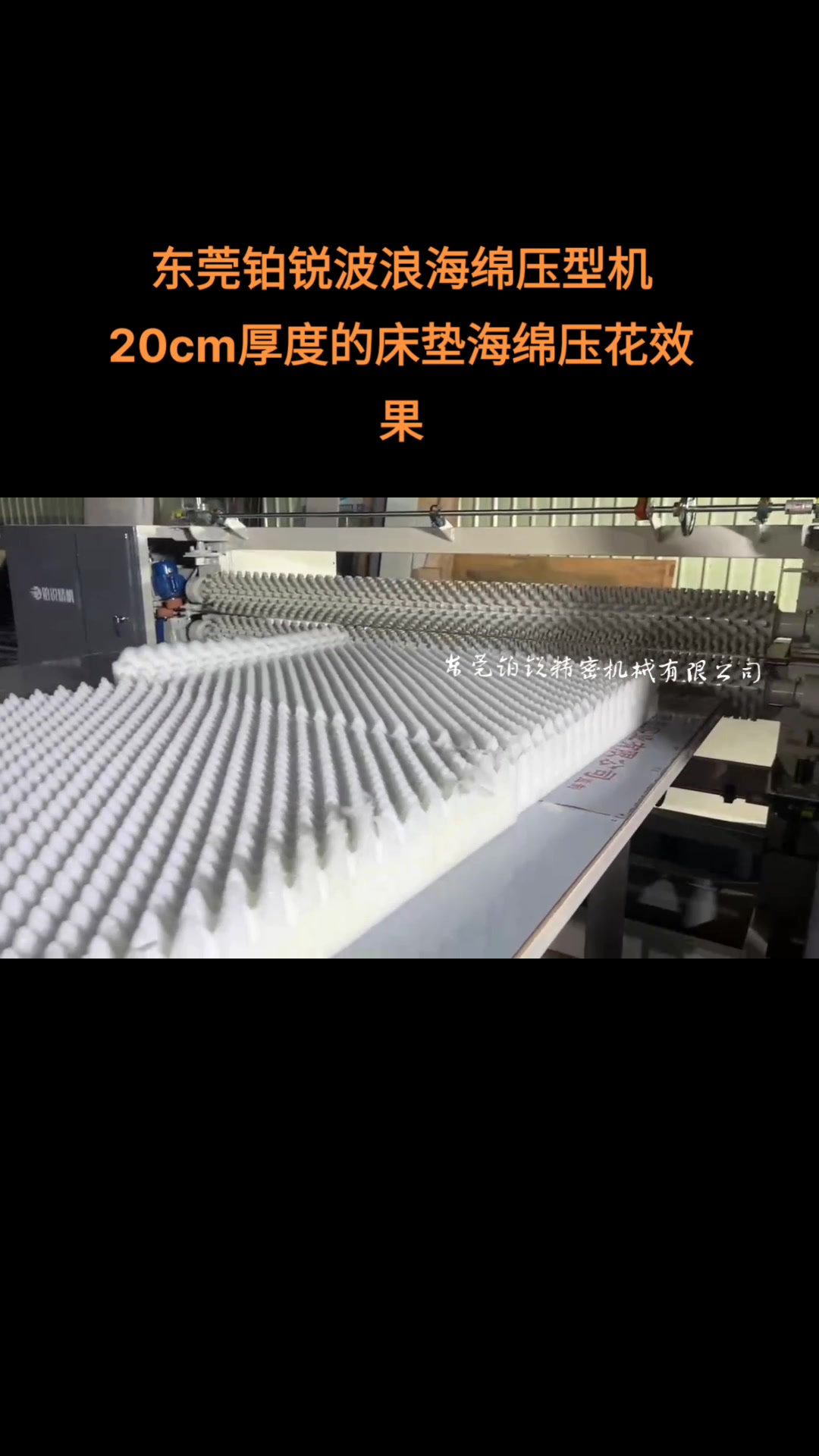 铂锐波浪海绵压型机鸡蛋槽纹压型机工厂实拍