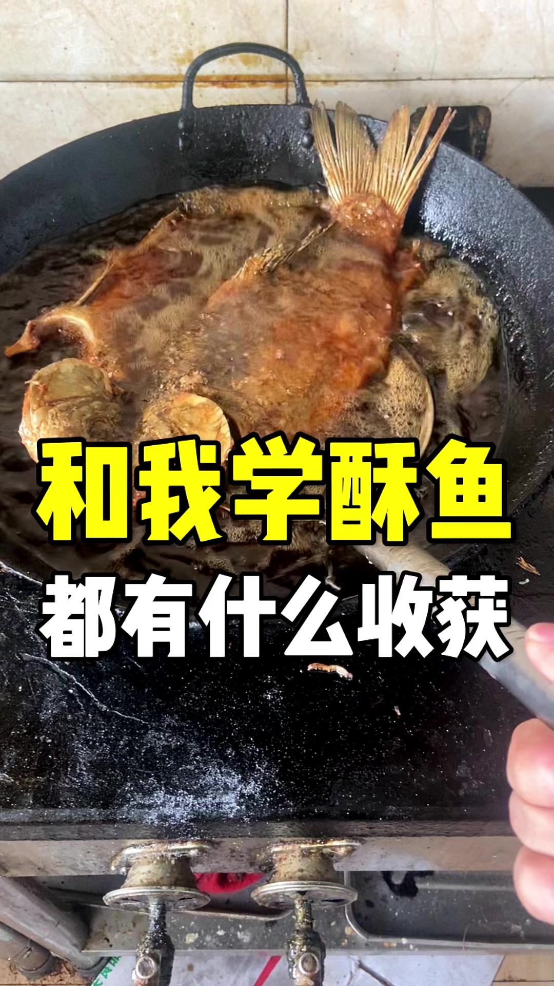 赵县酥鱼都有哪些种鱼,可以学到什么?